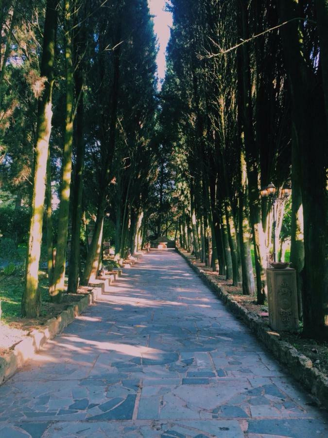 Villa Jacona Caltagirone Buitenkant foto